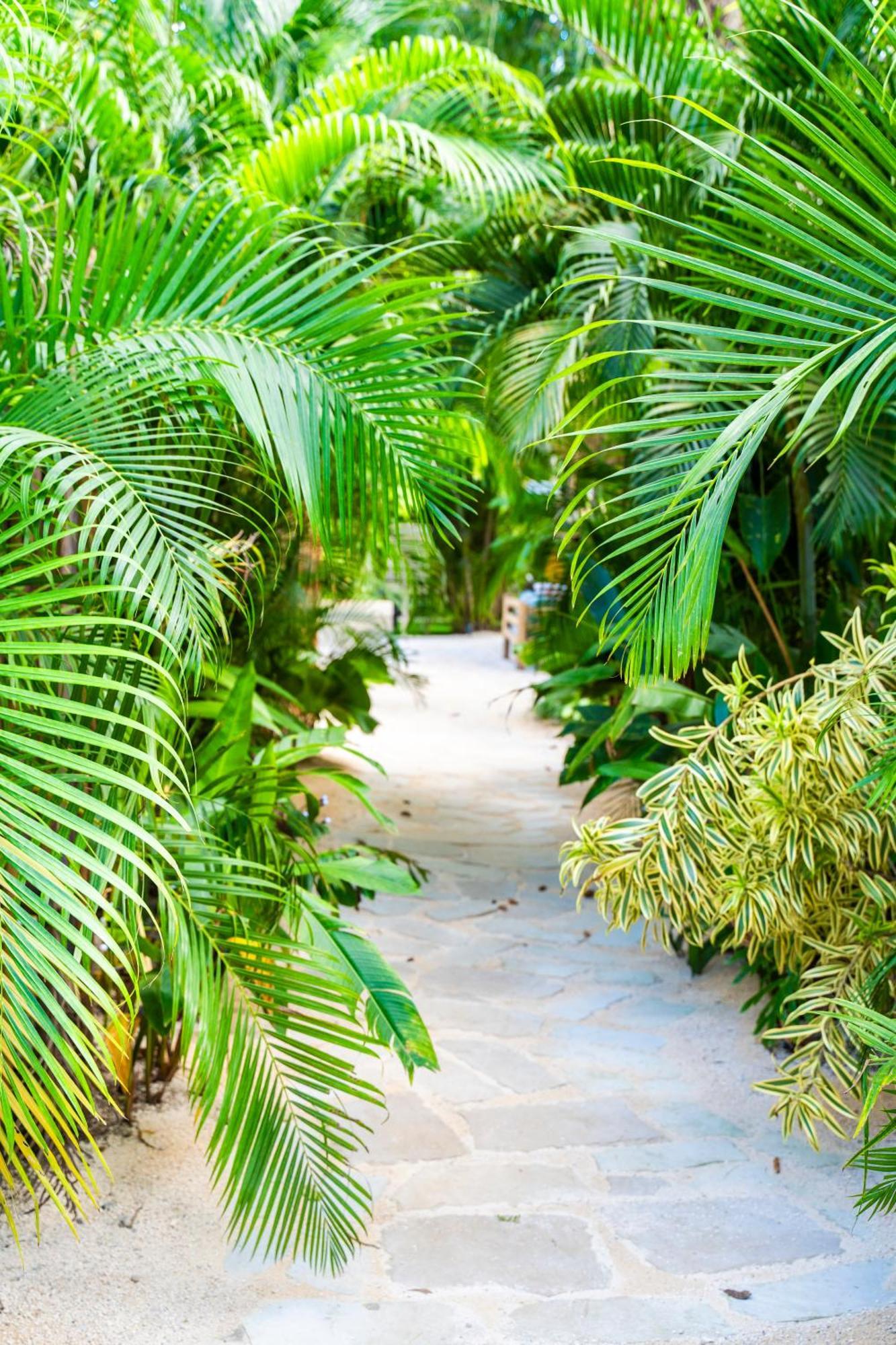 Norte Nosara - Steps To Playa Guiones Екстериор снимка