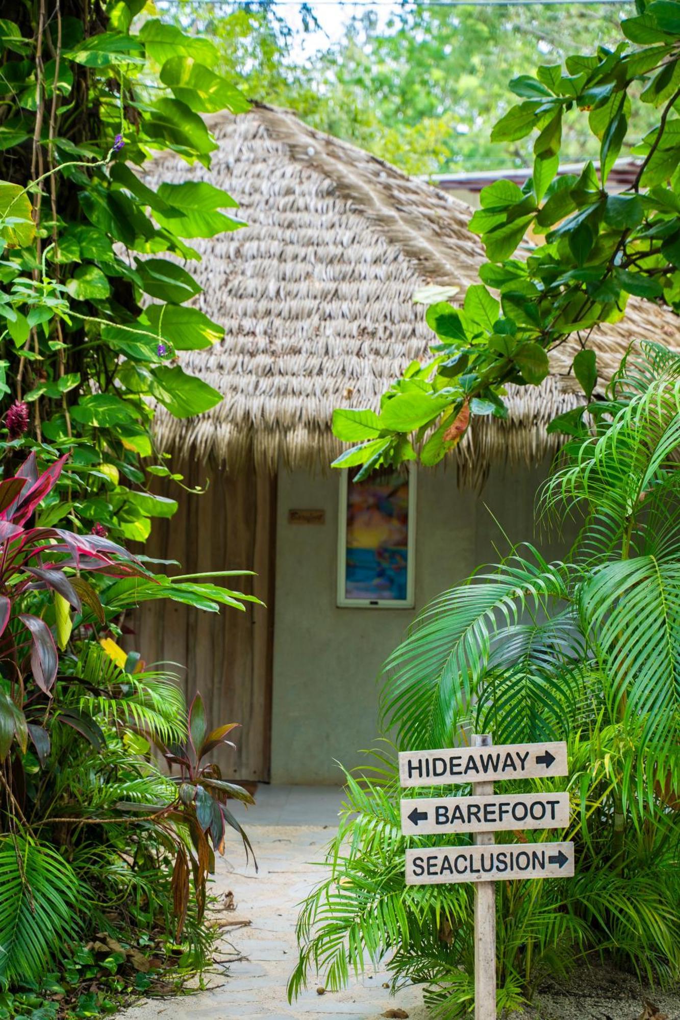 Norte Nosara - Steps To Playa Guiones Екстериор снимка